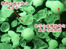 摩尔水溶肥生产工艺 摩尔水溶肥生产工艺